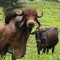 TikTok Account - jr28359