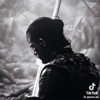 TikTok Creator - highkey