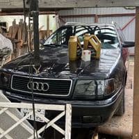 TikTok Account - wuuuwwu