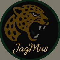 TikTok Account - jag_mus