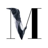 TikTok Account - armel_00