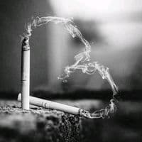 TikTok Account - riikoset_