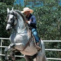 TikTok Account - rigovertolopez3