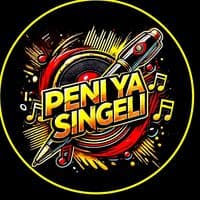 TikTok Account - peniyasingeli