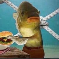 TikTok Account - tonystatovci