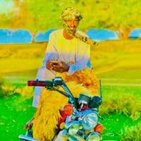 TikTok Account - user9329128325741