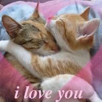 TikTok Account - elisuckss