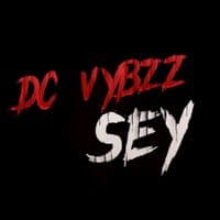 TikTok Account - dc_vybzz_sey