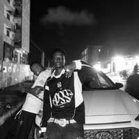 TikTok Account - lelionmexicain69