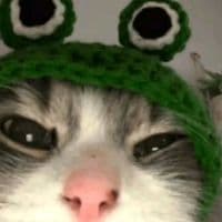 TikTok Account - sweetirmn