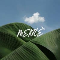 TikTok Account - mekiile