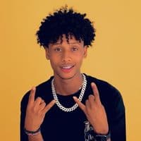 TikTok Account - shamsu_harar1