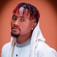 TikTok Account - nelsonkdc