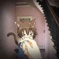 TikTok Account - chococatsecrettwin