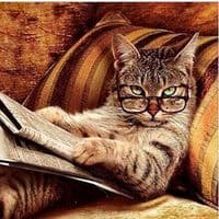 TikTok Account - nikolai.s05.11