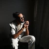 TikTok Account - trillaonthemic