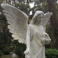 TikTok Account - doyouknowjane