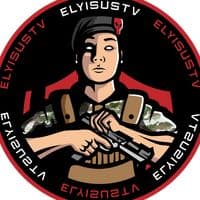 TikTok Account - elyisustv12340