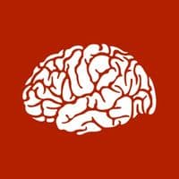 TikTok Account - faktastisch