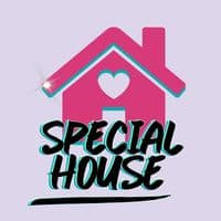 TikTok Account - special_house_rus