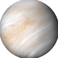 TikTok Account - venusvs5