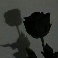 TikTok Account - soul_feelings.x