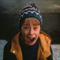 TikTok Account - homealonechristmas_