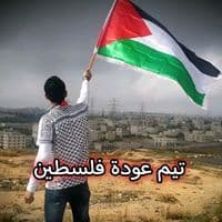 TikTok Account - one.piece3699