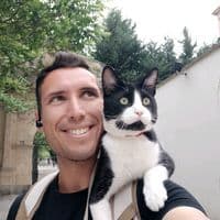 TikTok Account - oreoybart