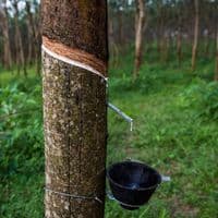 TikTok Account - chinaframer