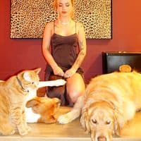 TikTok Account - babysaintclaire_