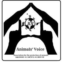 animals.voice.mk