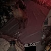 TikTok Account - rave_10k