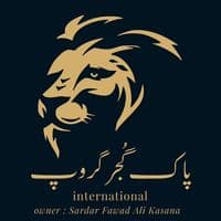 TikTok Account - pakgujjargroup