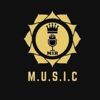 TikTok Account - lm.u.s.i.cl