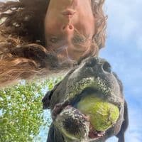 TikTok Account - haleyandthepets