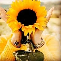 TikTok Account - allison08_15