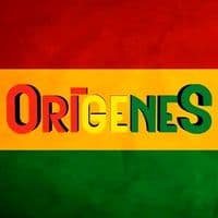TikTok Account - origenes.bolivia