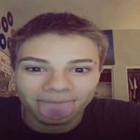 TikTok Account - zachypoodog