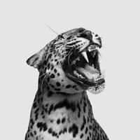 TikTok Account - slideswithaddie