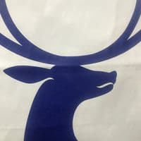 TikTok Account - user610370090