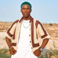 TikTok Account - pato_star