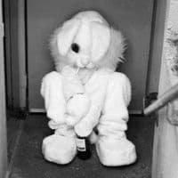 TikTok Account - argopath