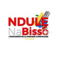 TikTok Account - ndulenabisso