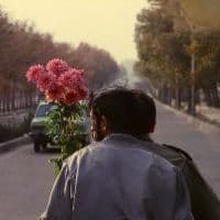 TikTok Account - lonsoo.mp44