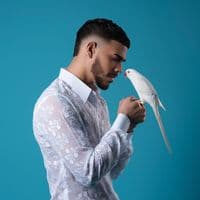 TikTok Account - carecantinasyfarolito