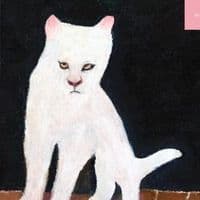 TikTok Account - xugstr