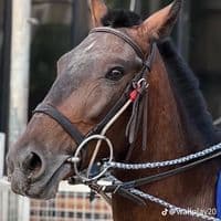 TikTok Account - its_kamal_01