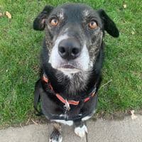 TikTok Account - ksam325