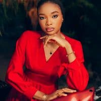 TikTok Account - femme24elegante